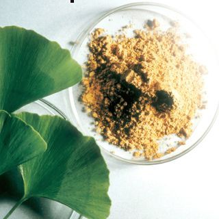 Ginkgo Biloba P.E